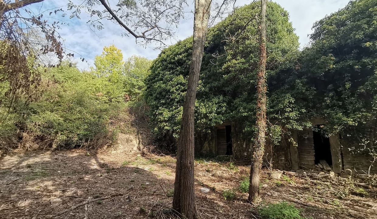 U-943 DHH Steinhaus (Ruine) 196 m2 - Buje - zu verkaufen