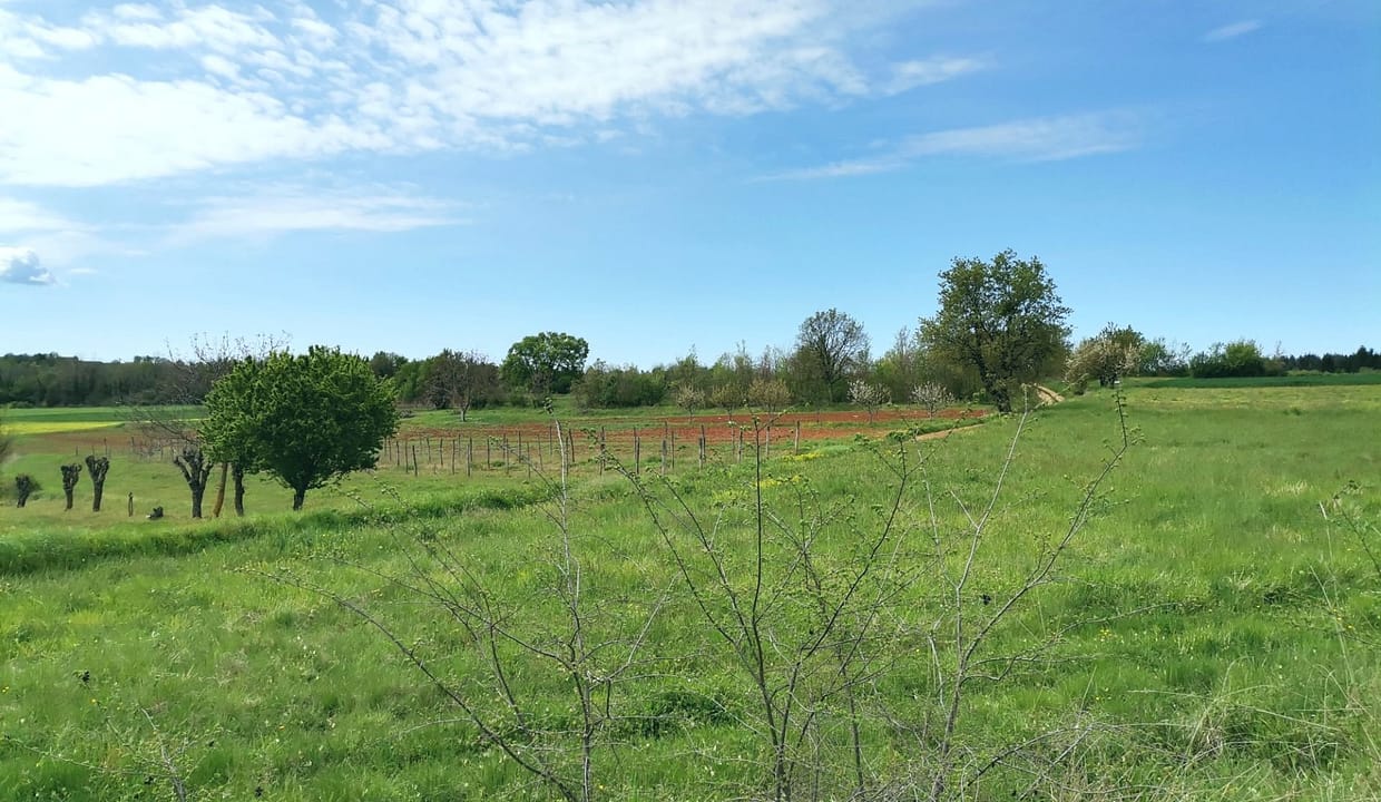 Z-677 großer Baugrund3.900 m2 Nähe Vizinada ruhige Lage Panoramablick zu verkaufen