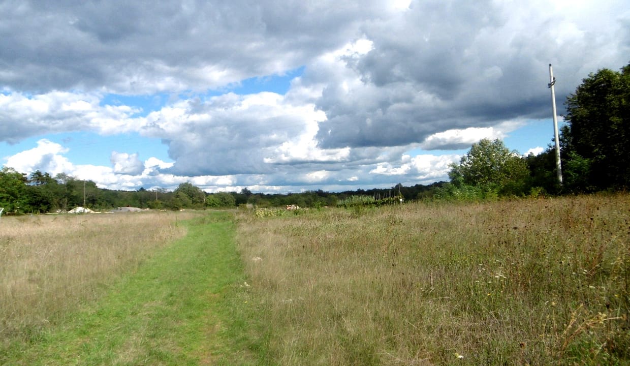 großer Baugrund in ruhiger Lage