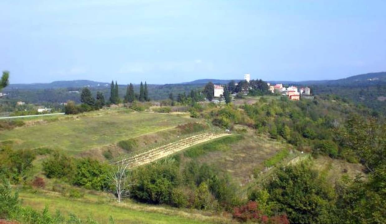 Z-445 oko 13100 m2 poljoprivrednog zemljišta sa prekrasnim pogledom kod Oprtlja - pogodno za vinograde