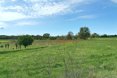 Z-677 großer Baugrund3.900 m2 Nähe Vizinada ruhige Lage Panoramablick zu verkaufen