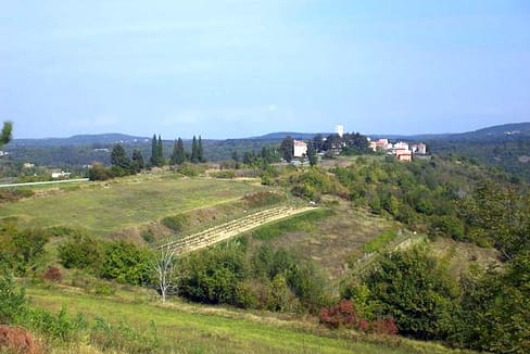 Z-445 oko 13100 m2 poljoprivrednog zemljišta sa prekrasnim pogledom kod Oprtlja - pogodno za vinograde