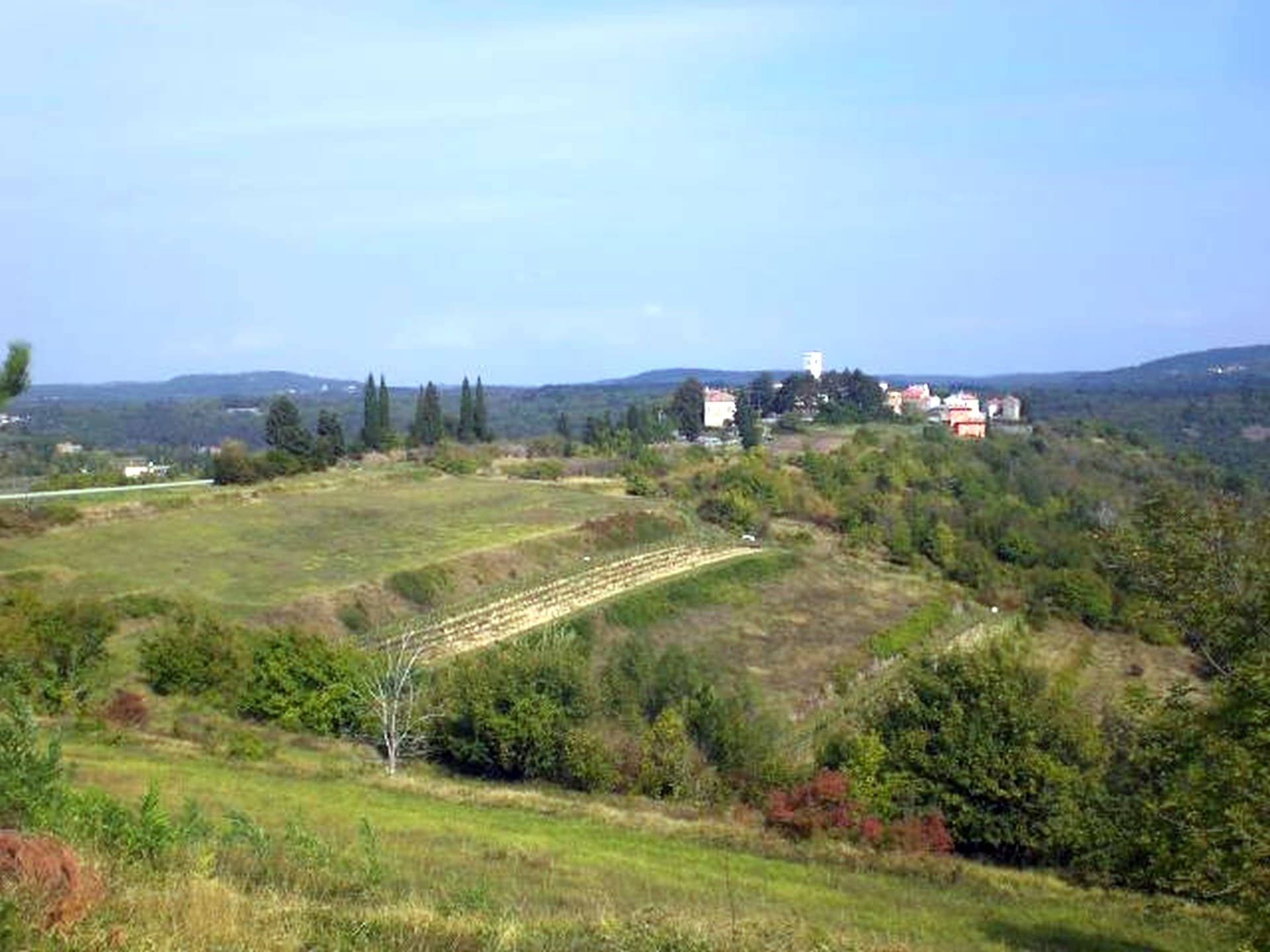 Z-445 oko 13100 m2 poljoprivrednog zemljišta sa prekrasnim pogledom kod Oprtlja – pogodno za vinograde